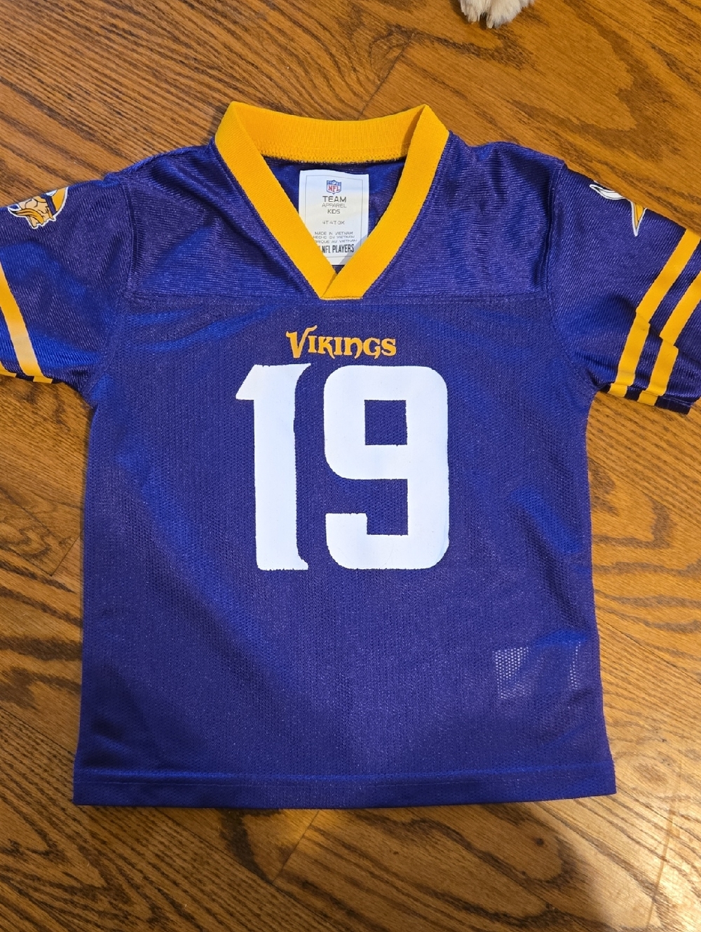 NFL Kids Purple and Gold Vikings #19 Jersey